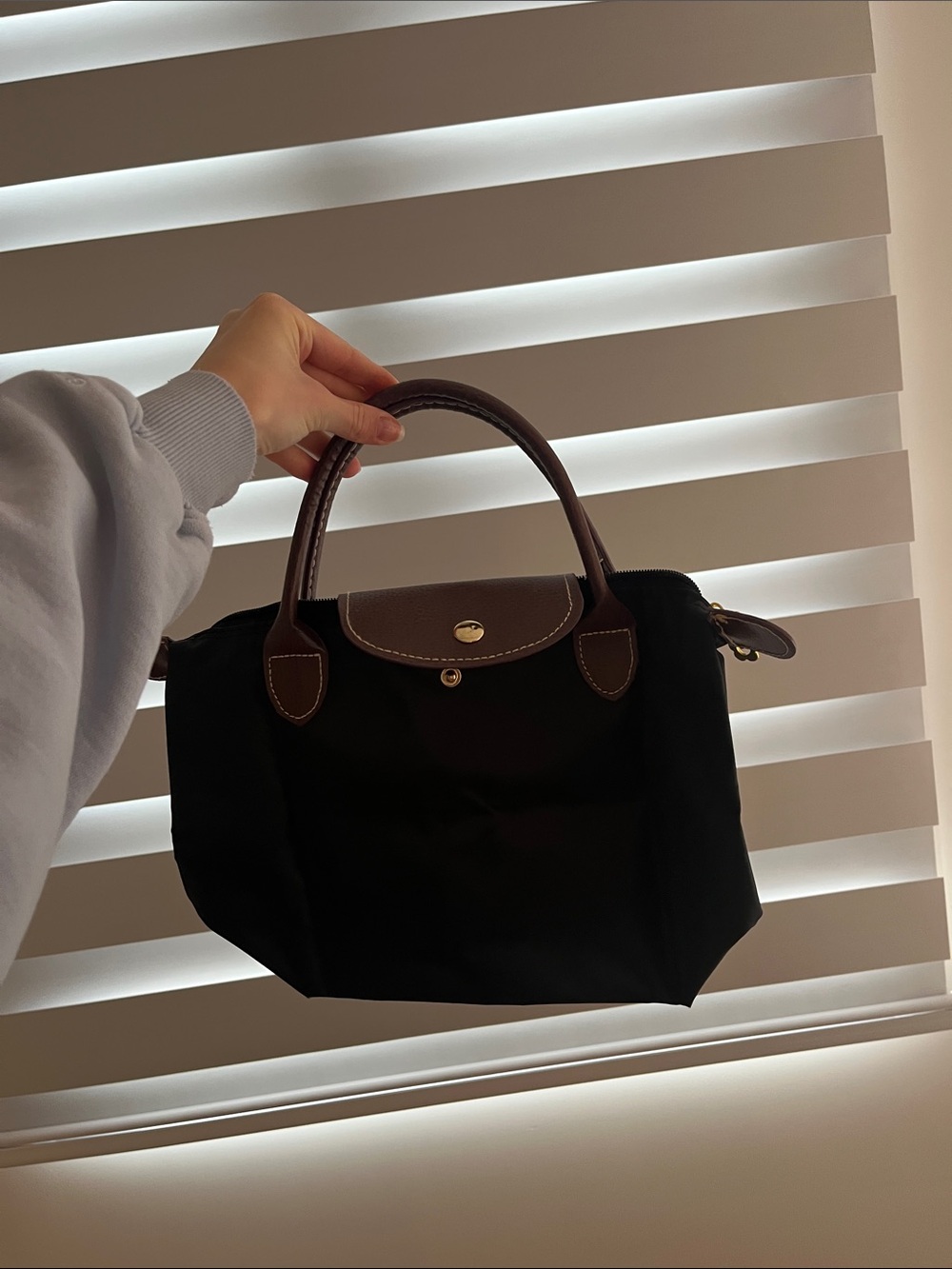Longchamp Purse